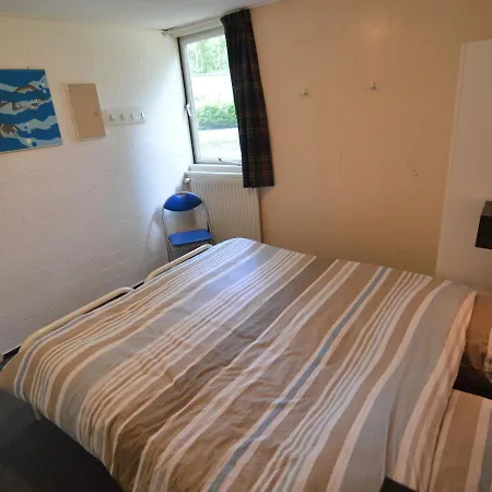 In Near Nature Reserve *