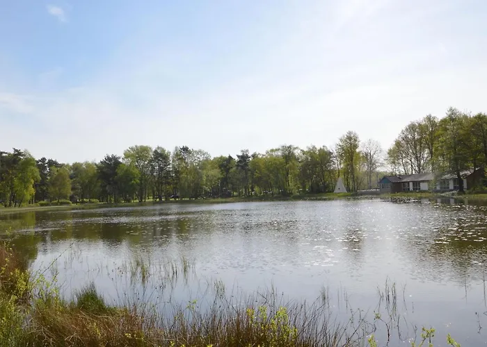 In Near Nature Reserve