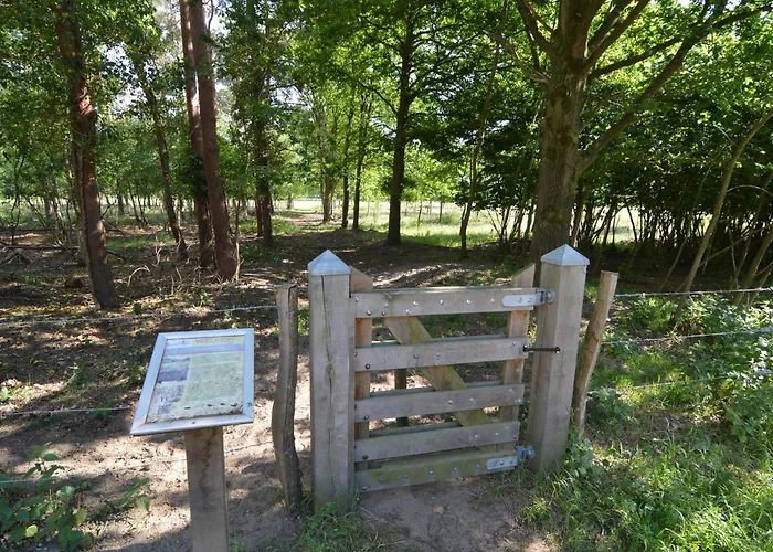 In Near Nature Reserve 別荘 Stramproy