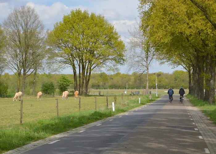 In Near Nature Reserve Holiday home *