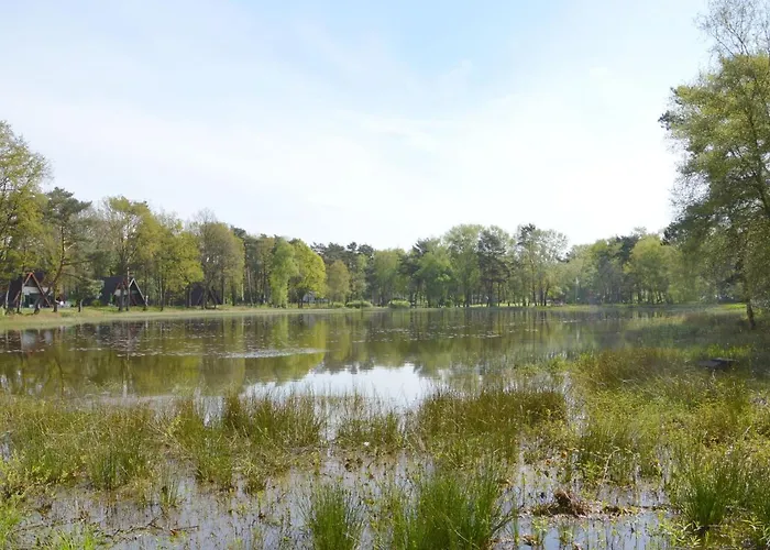 In Near Nature Reserve *